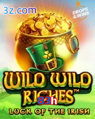 83h slot wild wild riches